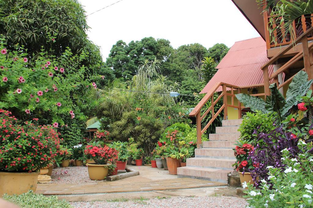 Belle Des Iles Bed & Breakfast La Digue Luaran gambar